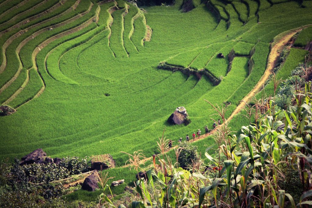 Our Ultimate Travel Guide For Vietnam Kelana By Kayla our-ultimate-travel-guide-for-vietnam-kelana-by-kayla