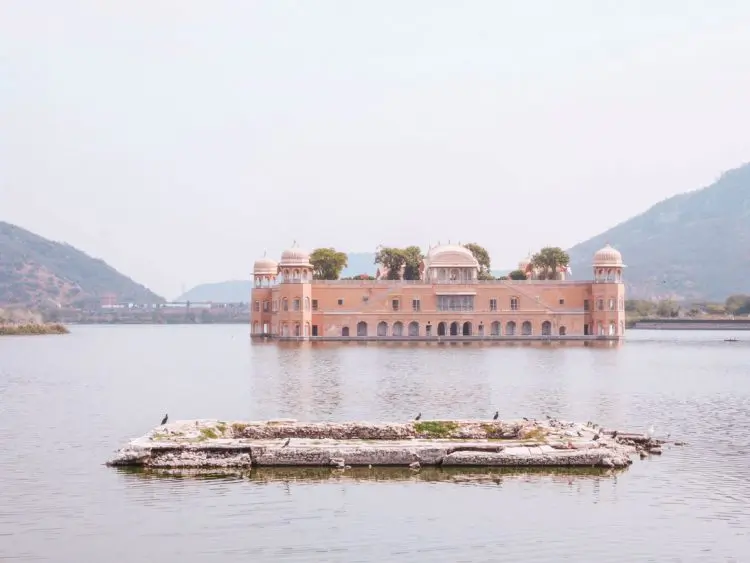 Jal Mahal, a palace with domes and trees on its roof, stands in the middle of a calm lake with hills in the background and a small stone platform in the foreground—making it one of the most captivating things to do in Jaipur.