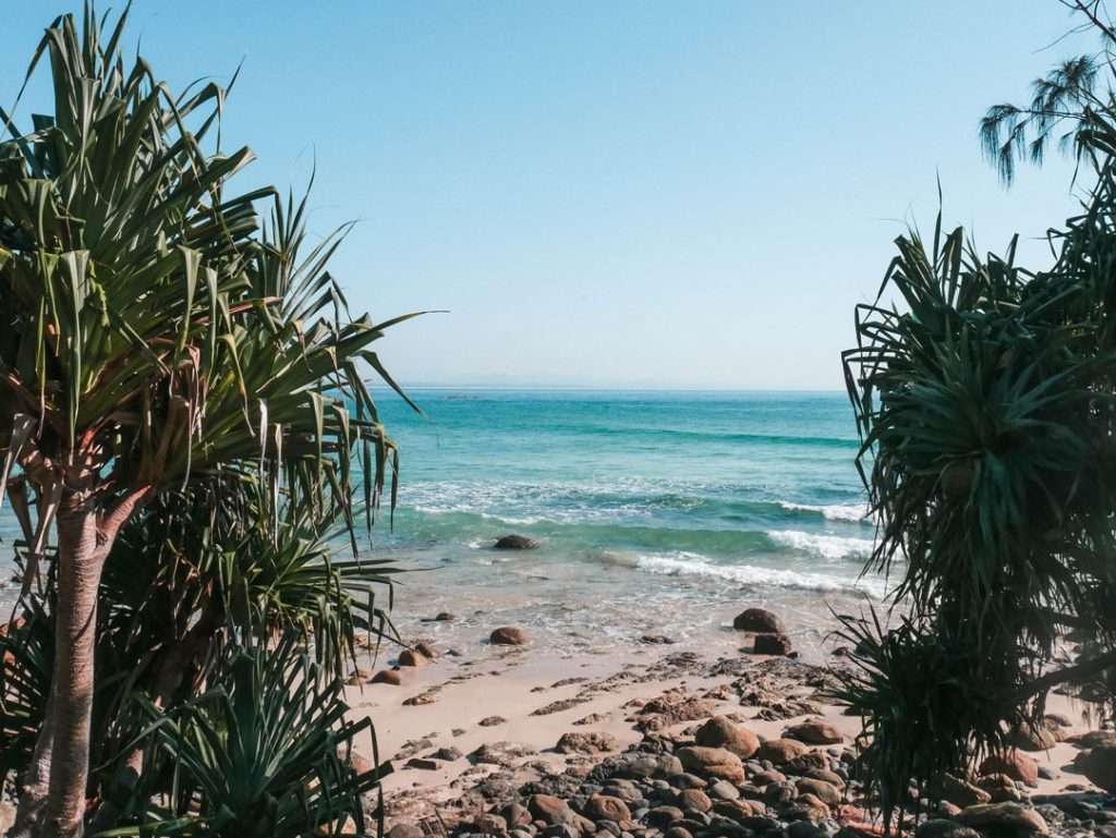 Tropical beach scene with clear blue water, gentle waves, a rocky shore, and leafy green trees framing the view on both sides under a bright blue sky—reminiscent of the stunning Byron Bay beaches like Wategos.