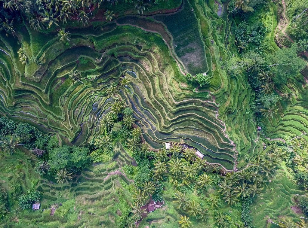 Bali Bucket List