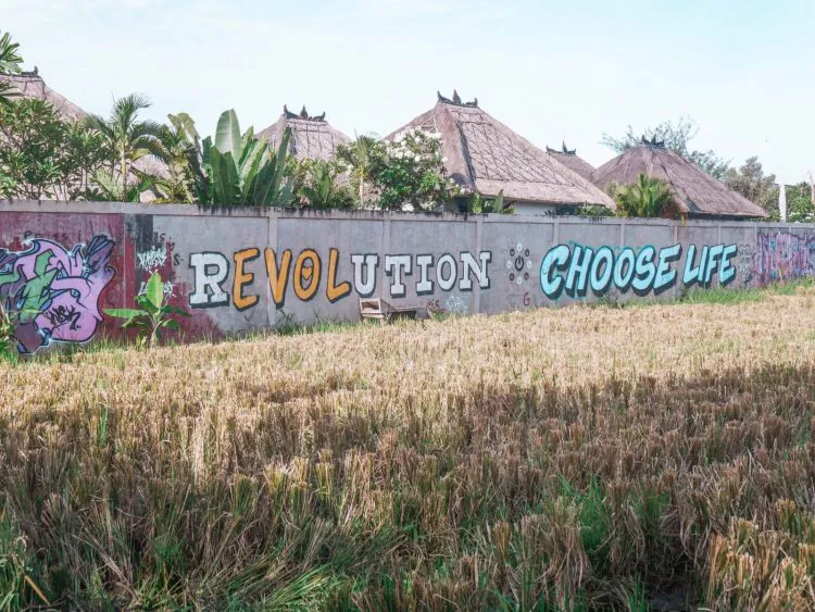 A concrete wall with colorful graffiti reads REVOLUTION CHOOSE LIFE amid a grassy field, with tropical trees and traditional-style houses in the background.