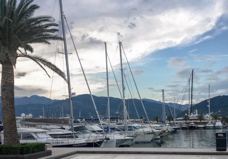 Several yachts and sailboats are docked at a marina in Tivat, with mountains and a cloudy sky in the background, and a palm tree in the foreground on the left.