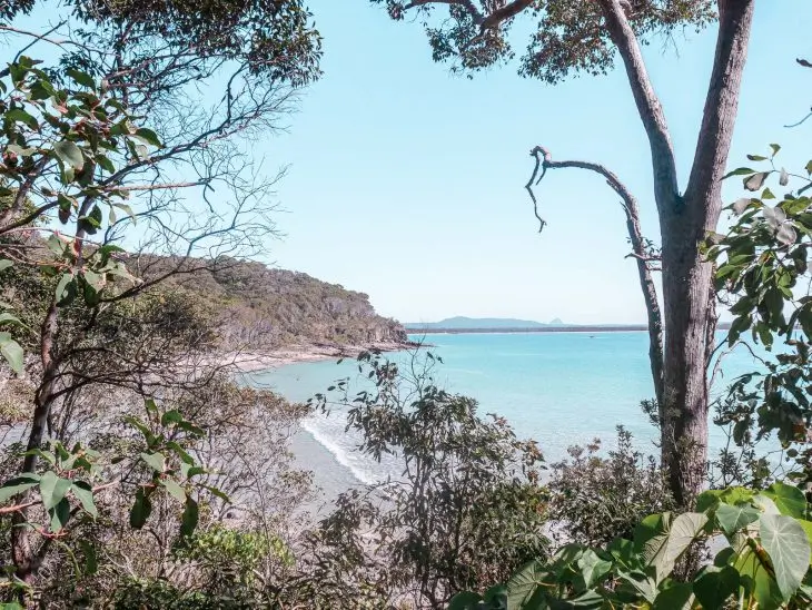 View of a sandy beach with gentle waves, turquoise water, and a tree-framed shoreline in Noosa National Park. Lush greenery surrounds the scene, and distant hills are visible under a clear blue sky.