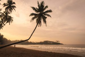 Goa itinerary