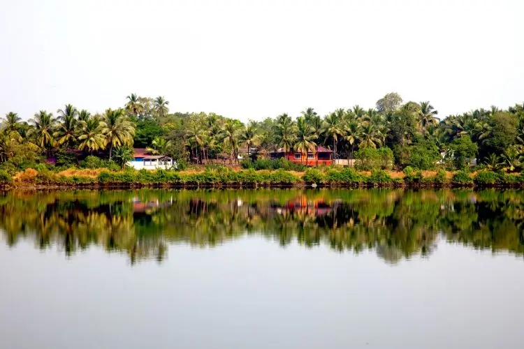 A calm river reflects palm trees and small houses on the opposite bank, with clear skies above and lush greenery all around—an idyllic scene that deserves a place on any goa itinerary.