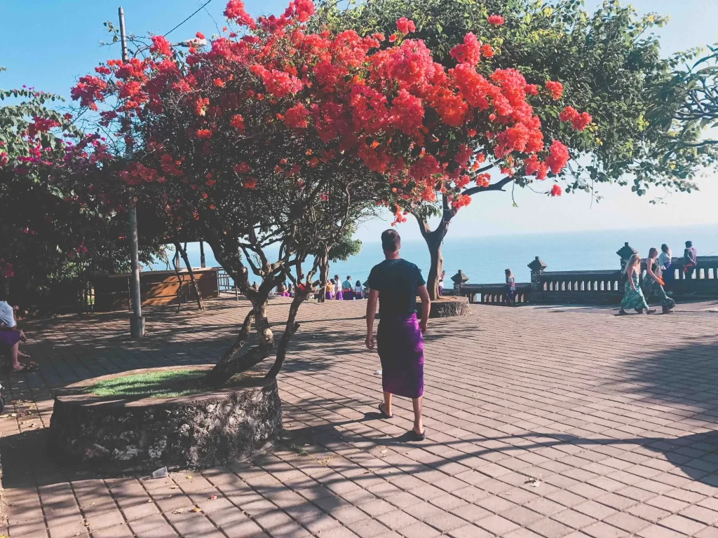 A person in a purple sarong walks under a tree with vibrant red flowers on a sunny, open plaza overlooking the ocean at Uluwatu Temple, with several people and a stone railing in the background.