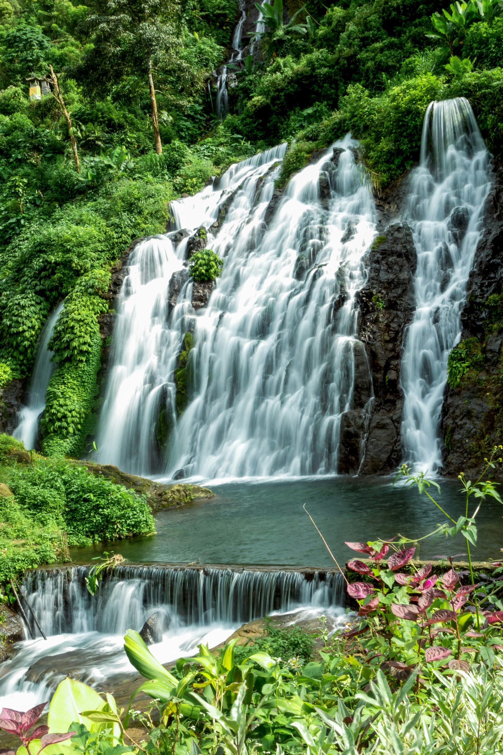 A lush multi tiered waterfall in Ubud cascades over dark rock into clear pools surrounded by dense tropical greenery. Vines moss and broad leaf plants frame the flowing water creating a serene jungle setting that highlights the natural beauty of an Ubud waterfall.