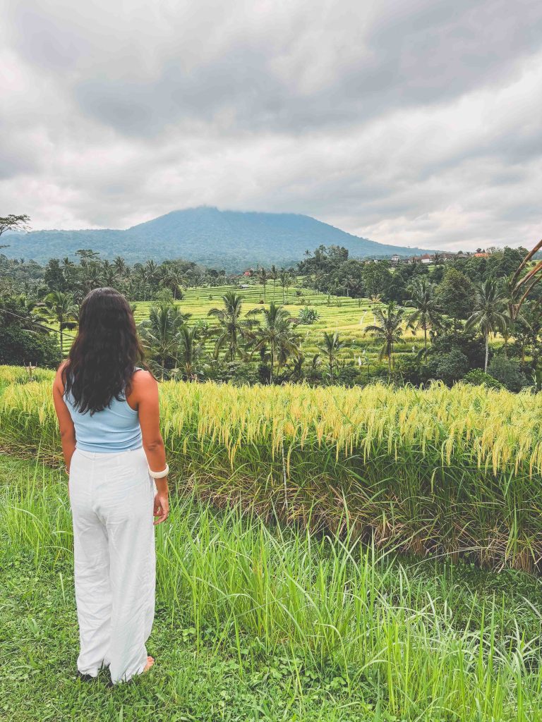 A woman with long dark hair, wearing a light blue top and white pants, stands on grass facing the lush green Jatiluwih Rice Terraces with palm trees, a distant mountain, and a cloudy sky in the background.